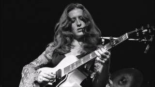 Bonnie Raitt - Since I Fell For You