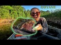 Elle pche des poissons prhistoriques en amazonie franaise   guyane 2023 ep1