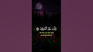 #تلاوة_خاشعة /تريح القلب