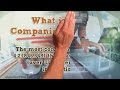 What is web companion | web companion Lavasoft