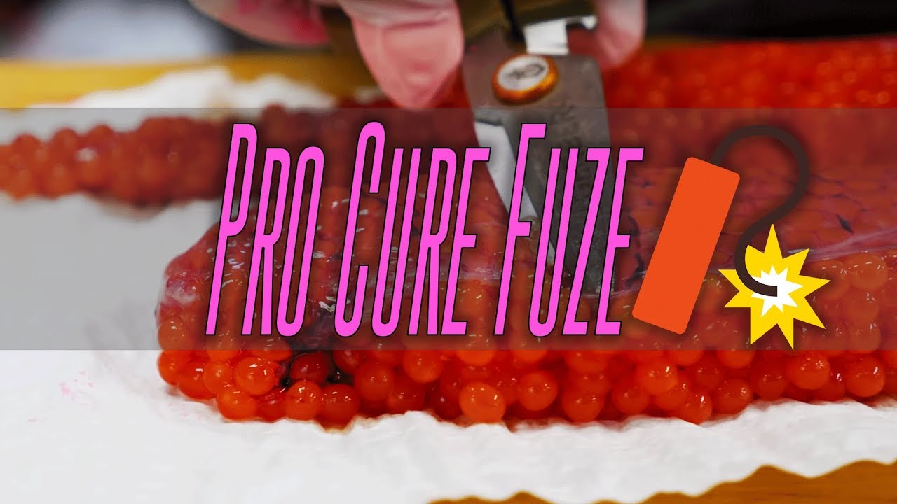 Egg Curing Tips & Tricks  PRO CURE FUZE 💣 