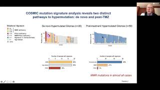 BWH/HMS CNOC Symposium2020: Keith Ligon- Mechanisms/Therapeutic Implications of Glioma Hypermutation