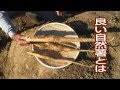 静岡県地産地消～ふじのくにベジフル大使の旬だより～『自然薯』