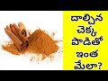 Amazing Health Benefits Of Cinnamon | Cinnamon Of Benefits | Manandari H...