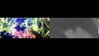 CAFADIS - Depth measurement