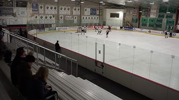 Aviator HC vs Brewster