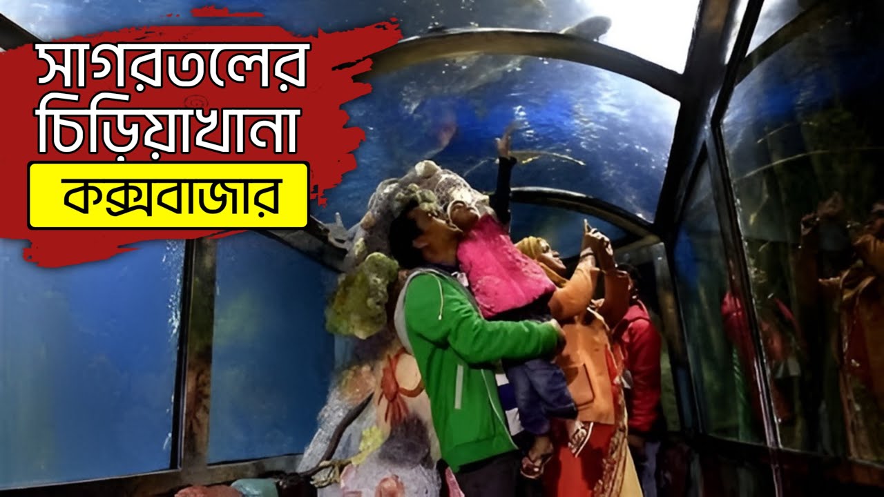 সাগরতলের রহস্য দেখতে কেন যাবেন? Radiant fish world cox's Bazar # ...