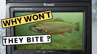 So Many Trout Under the Ice - Why Wont they Bite? | Ice Fishing Alberta