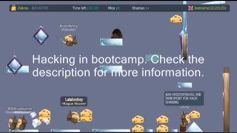 Transformice hackers