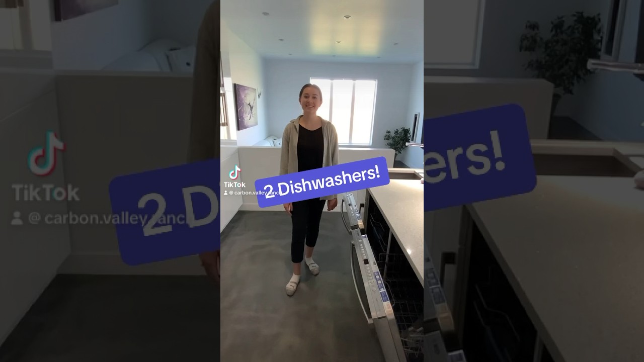 Never deal with dirty dishes! 