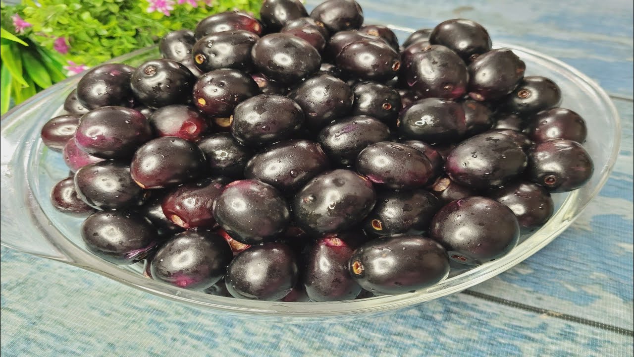 দীর্ঘদিন পর্যন্ত জাম সংরক্ষণ করার পদ্ধতি | পাঁকা জাম সংরক্ষণ | How to store Berry | জাম সংরক্ষণ