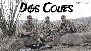 SONORA, MEXICO - COUES DEER - FLTV S07E02  DOS COUES