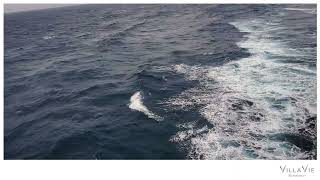 A Day at Sea | Life Aboard the Villa Vie Odyssey