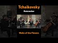 Tchaikovsky - Waltz of the Flowers - Чайковский - Щелкунчик - Вальс цветов - LIVE #shorts #short
