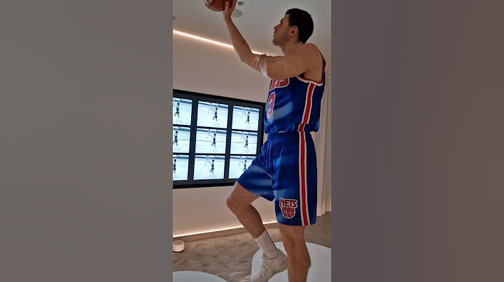 DRAZEN PETROVIC Museum, ZAGREB, Croatia
