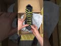 Unboxing Salewa Men S Rapace Gore Tex Boots Salewa Asmr Hiking Hikingboots Mountains