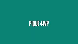 Pique 4 Way Play | UpDog Disc Competition | 6 Months Old - First Competition