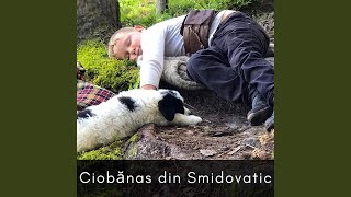 Ciobănaș Din Smidovatic