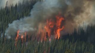 How Fighting Wildfires Works | Forest fires