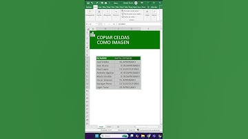 Cómo Usar la Opción Cámara en Excel para Copiar y Pegar Datos