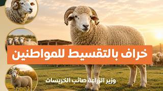 قبل العيد.. وزير الزراعة يكشف تطورات أسعار الأضاحي والخراف السورية