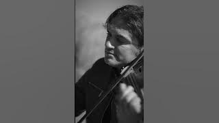 In this shirt - The Irrepressibles - Maxim Distefano (Violin Cover)