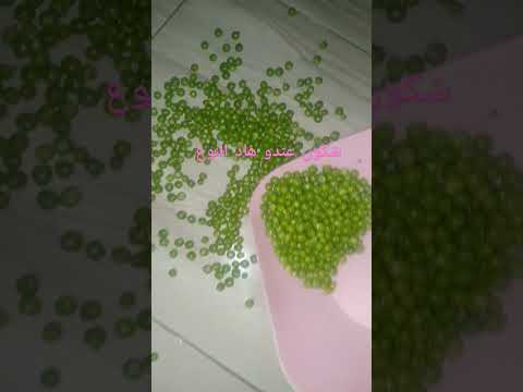 لعندو بحال هاد النوع يخليها لي في تعليق لعندو بحال هاد النوع يخليها لي في تعليق