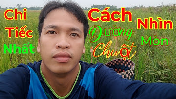 Cách nhìn đường mòn chuột đồng...Chi tiết nhất... Tèo Ngố TV...