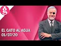 El Gato al Agua | 01-07-2020