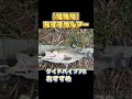 筑後川攻略に欠かせないルアー #fishing