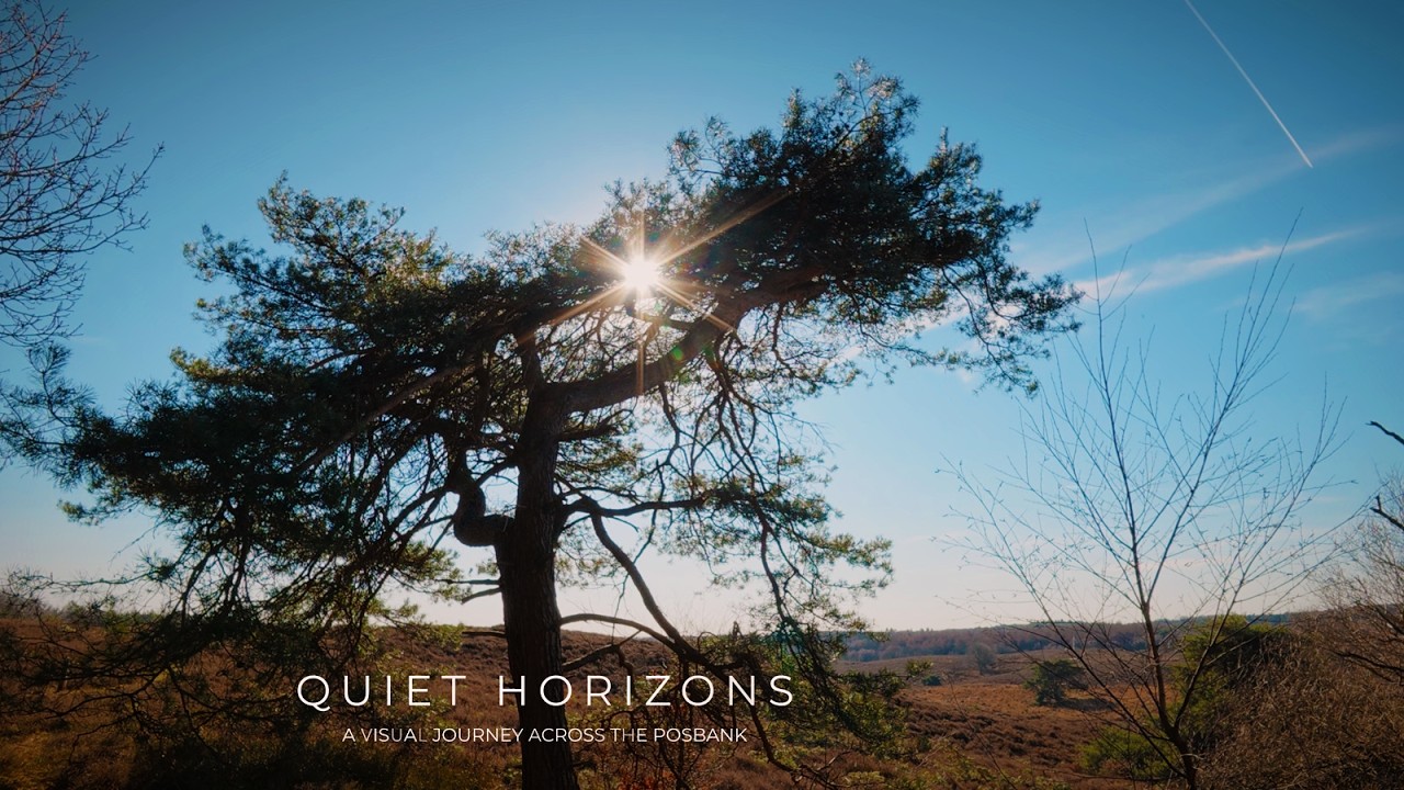 Posbank 4K Nature Walk – Cinematic Slow Cinema Film (DJI Action 6 & 5 Pro)