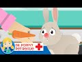 Jimmy The Rabbit | Doctor Poppy - Animals For Kids | Cartoon Animals