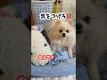 大事な話がある！！