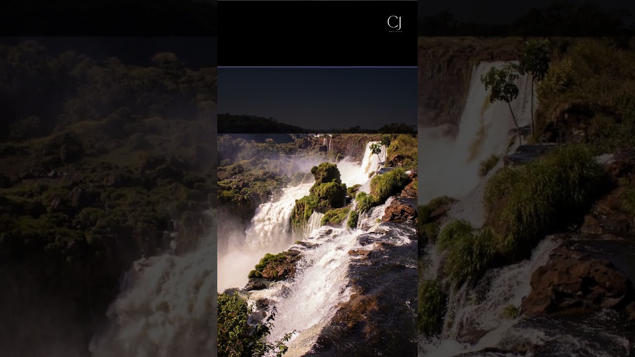 Compassionate Hearts: Embracing Forgiveness and Kindness 