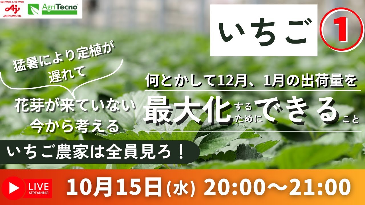 Wednesday, October 15th, 8pm - Strawberries - Due to the extreme