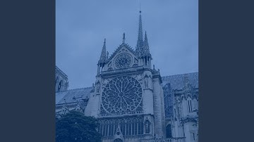 High-class Backdrops for Exploring CIties