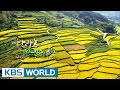 Korean Geographic | 코리언 지오그래픽 - Ep.4 : The feracel fields of Jirisan (2014.12.18)