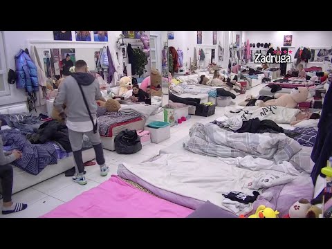 Zadruga 4 -