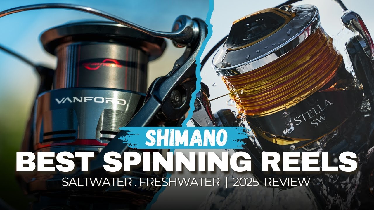 10 Best Shimano Spinning Reels for 2025