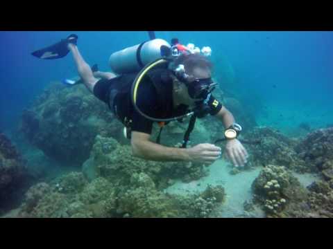 PADI Open Water course - Captain Arjun - Sunshine Divers - Koh Tao