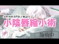 【婦人科形成】女性外科専門医が解説・施術する小陰唇縮小術