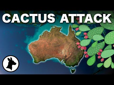 Australia's Cactus Attack