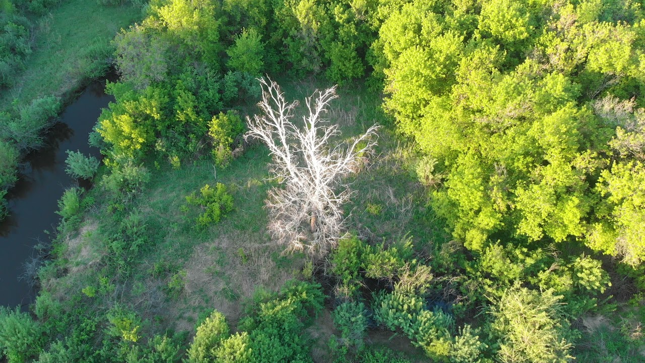 Wild river aerial drone shot - YouTube