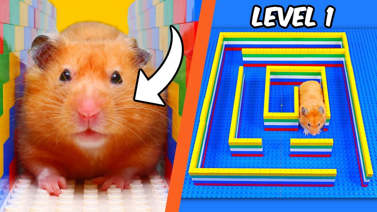 ⁣I built a LEGO MAZE for a HAMSTER...