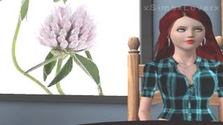 Slipped Away (The Sims 3)