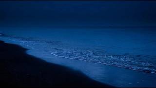 For Peaceful Dreams | Ocean Waves Sleep Therapy for Deep Sleep and Calm Thinking