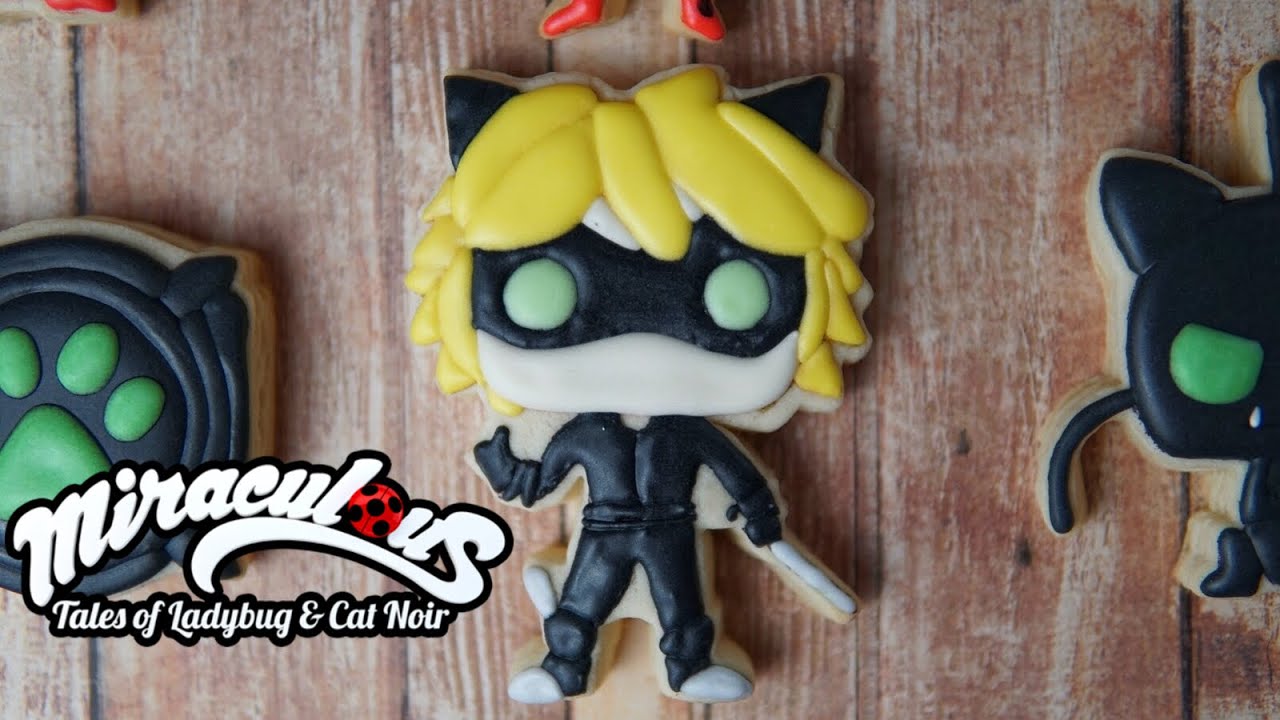 funko pop miraculous cat noir