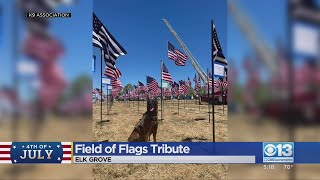 Field Of Flags Give Tribute To Fallen Servicemen And Women And First Responders