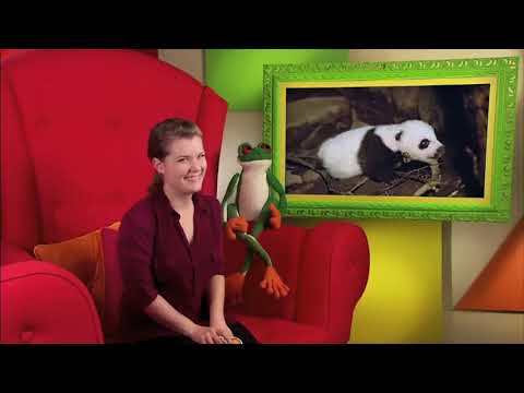 Explore Our World 1 - Unit 3 - Grammar 2.1 - YouTube