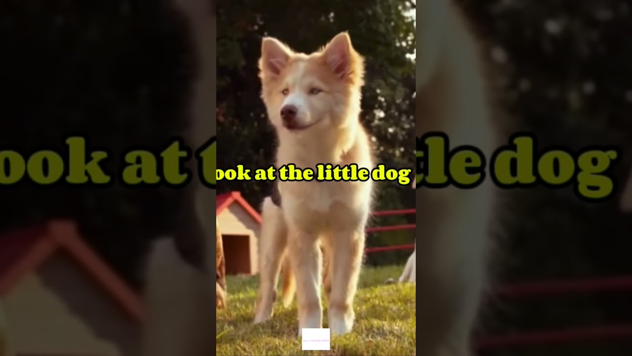 Rosa brother and sister stick up for her against the mean dog 